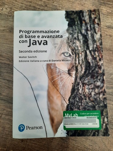 Programmazione base e - base,